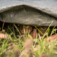 Image for article titled A ghost town in Italy is about to come back to life for a hide-and-seek “world championship”